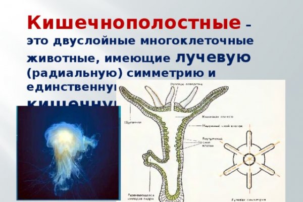 Каталог онион сайтов