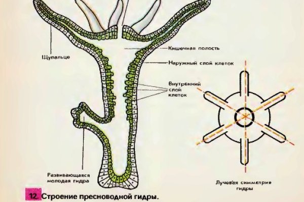 Кракен тор krakens13 at