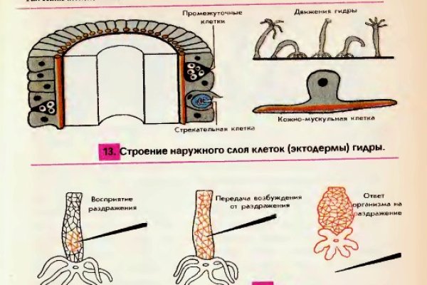 Браузер кракен